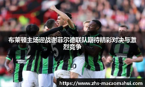 布莱顿主场迎战谢菲尔德联队期待精彩对决与激烈竞争